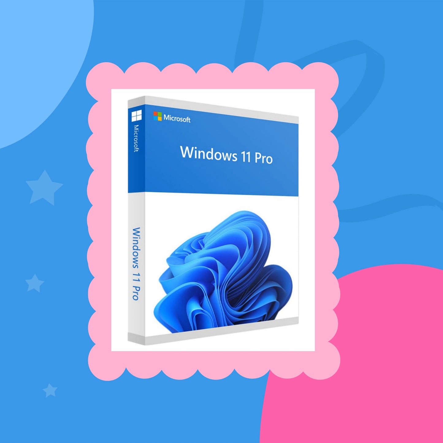 Windows 11 Professional OEM Key